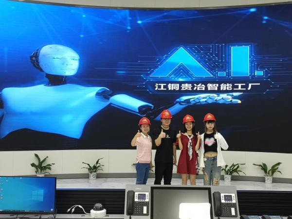 外國語學院開展企業(yè)數(shù)字化轉型調研暨訪企拓崗活動——聚焦計算機系統(tǒng)服務領域